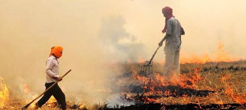 किसानों के लिए खुशखबरी! अब पराली जलाने पर नहीं होगा मुकदमा,सरकार लेकर आयी है यह नया कानून